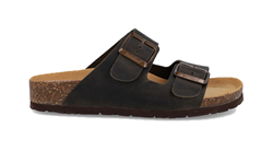 CIABATTA THESIS  R IMB V. CR.HORSE V.BOSCO